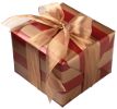 Employee gift icon